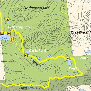 Dog Pond Trail